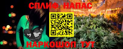 apvp Дубна