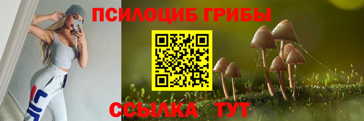 Псилоцибиновые грибы прущие грибы Изобильный